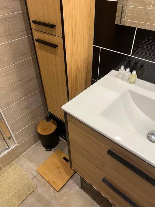 Appartement Style Chalet Standing 2 A 6 Personnes La Bourboule Εξωτερικό φωτογραφία